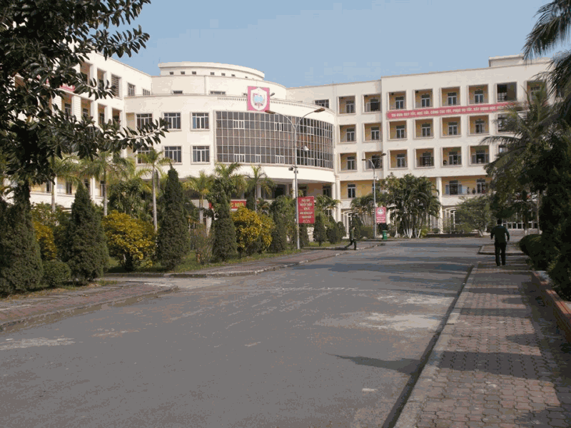 Odoo - Sample 3 for three columns